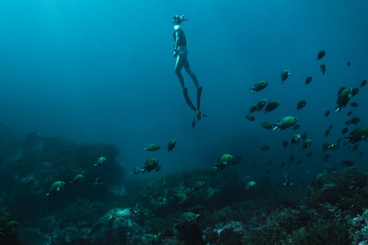 Discover Scuba Diving