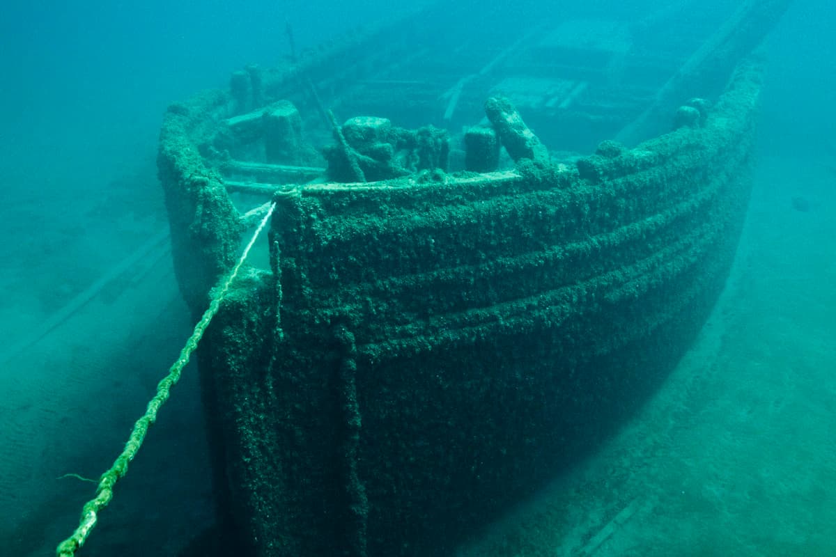 Zenobia Wreck — 2 Boat Dives