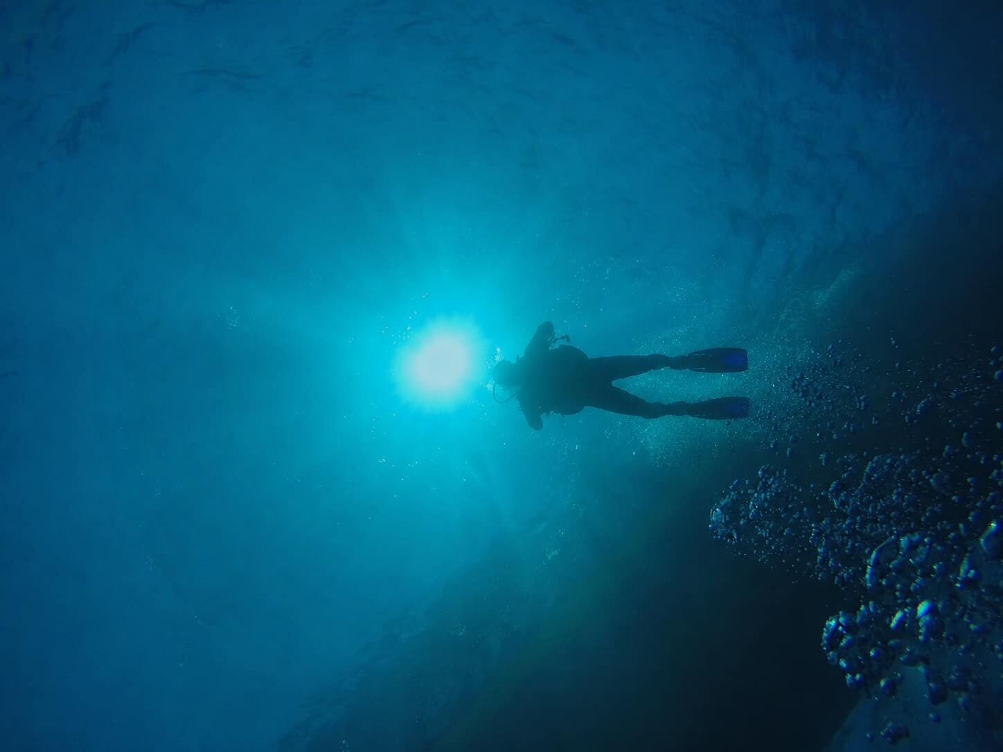 Diver silhouetted against sunlight above a reef wall