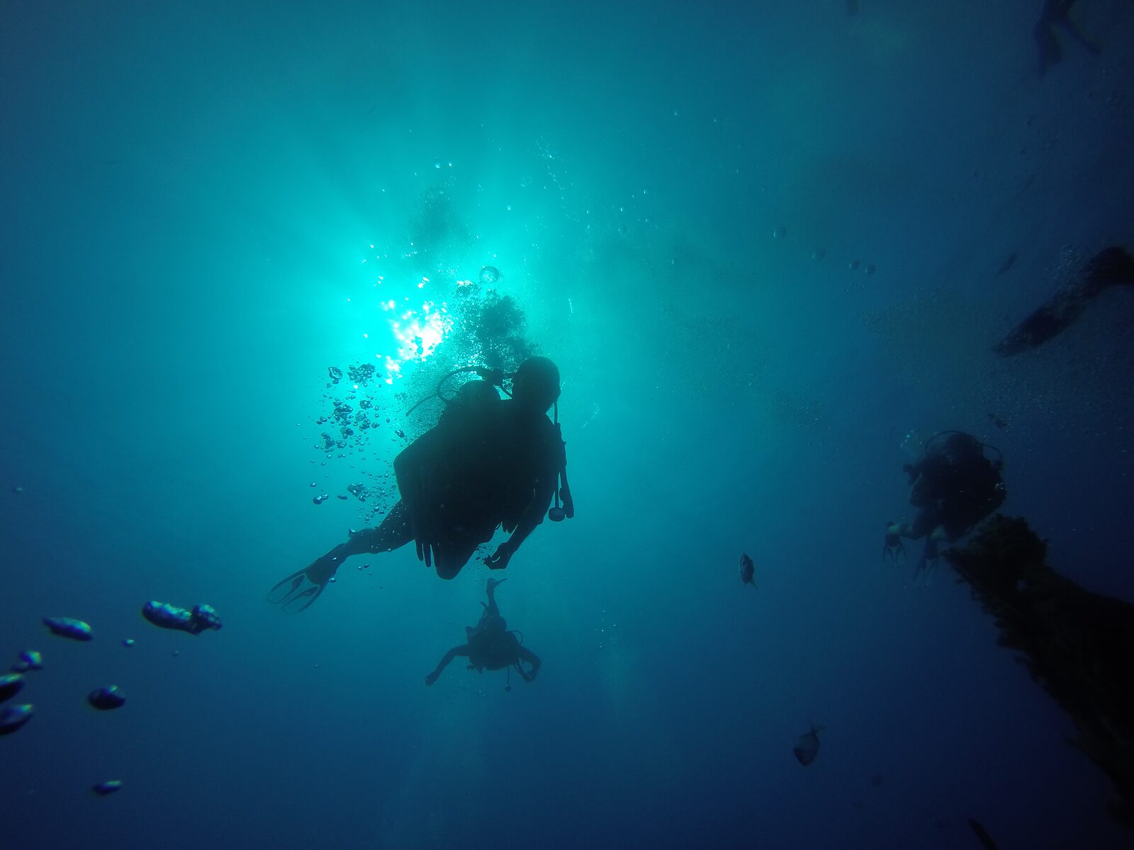 Divers ascending over a wreck in green water